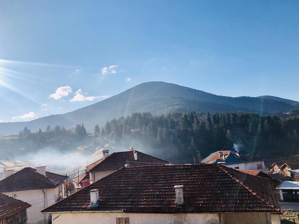 Къща За Гости "Домът На Краси" Yagodina Esterno foto